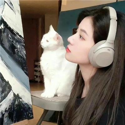 完美的结局